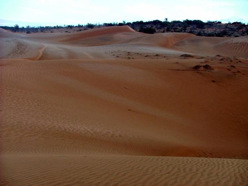 Red Dunes in the Morning