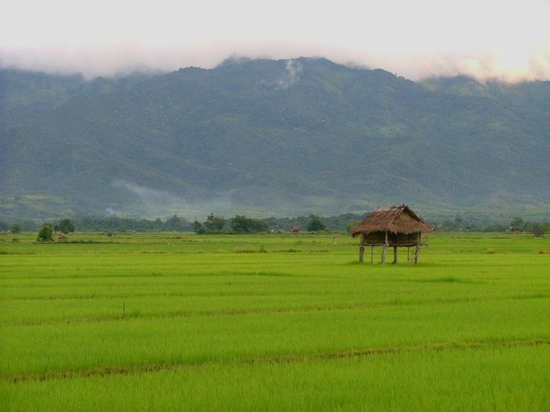 Misty View