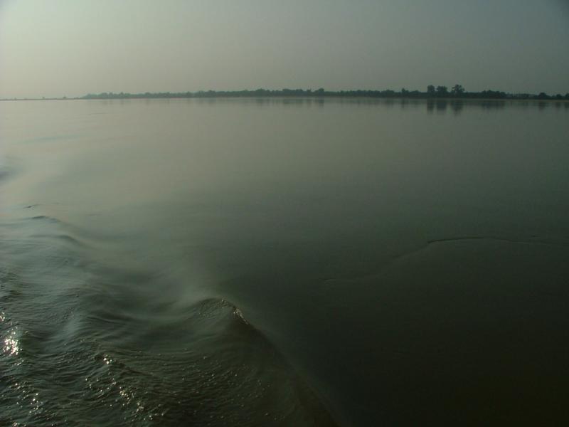 Not a Ripple