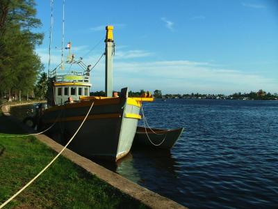 Cambodian Clipper