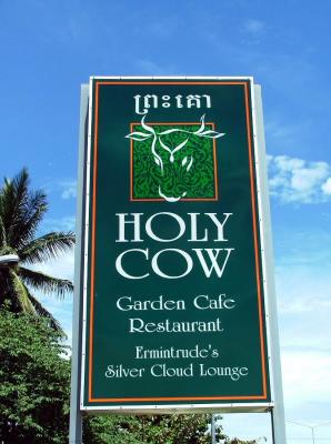 18/6/05 Holy Cow