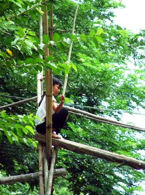 Blowing Bubbles on the Monkey Bridge