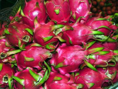 Dragon Fruit