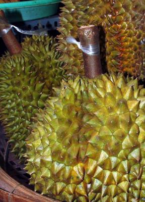 Durian - the Smelly Fruit