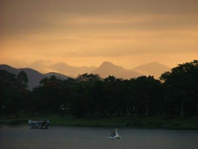 Swan Ride at Sunset