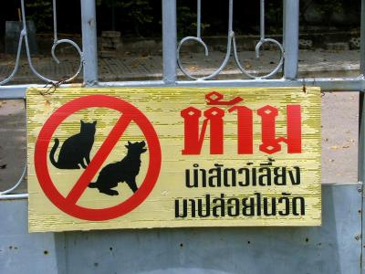 That's All Very Well, But Can They Read Thai?