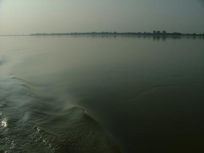 Not a Ripple