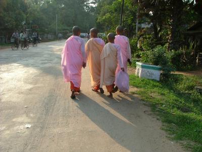 Walking Nuns