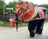 17/10/05 Dancing Elephant