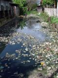 Choked With Rubbish