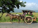 Local Taxi