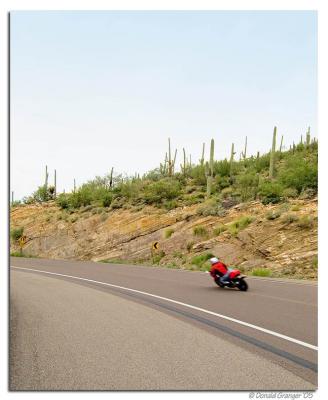 Mt. Lemmon / Sky Island Byway