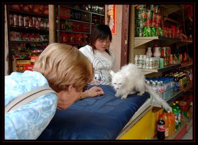 v3/26/230226/3/51356880.CH_Jingzhou_196.jpg
