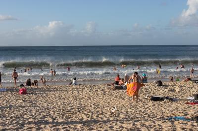 Noosa Beach