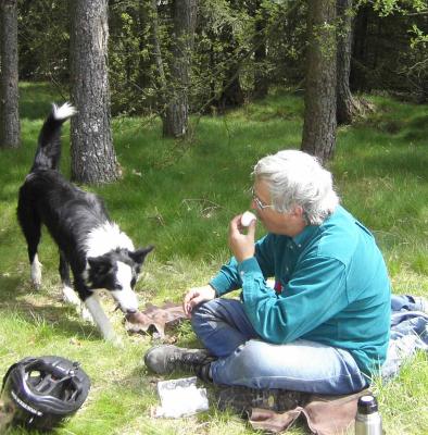 La chienne et la biche