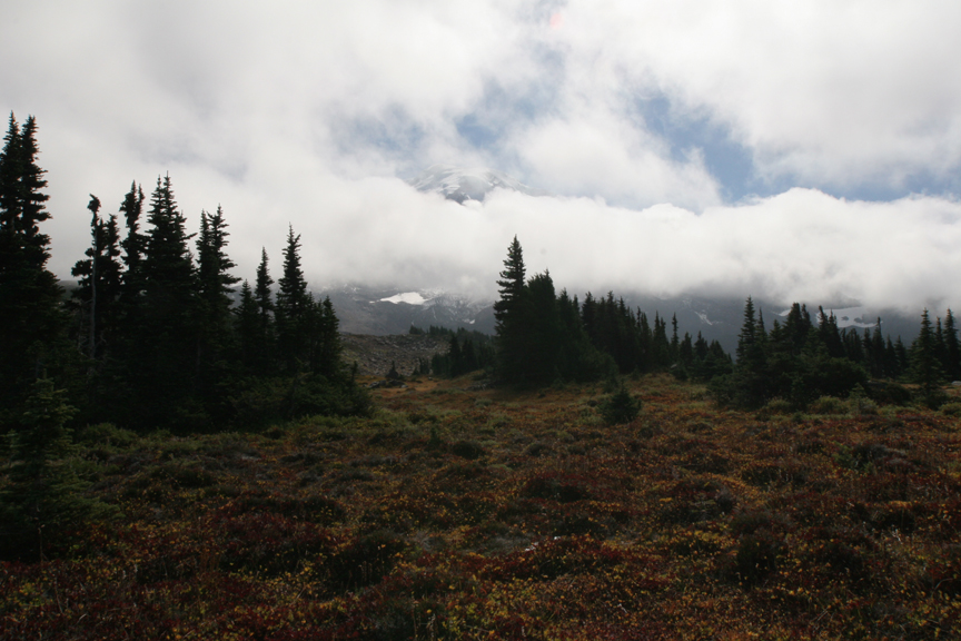 We reach Spray Park and get one last glimpse of the mountain