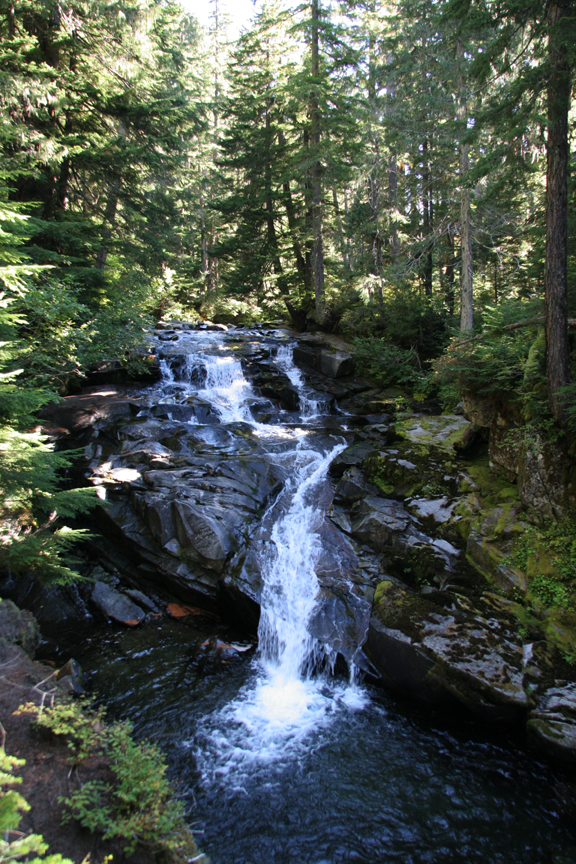 Small waterfall in a creek