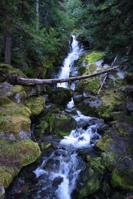 Small creek