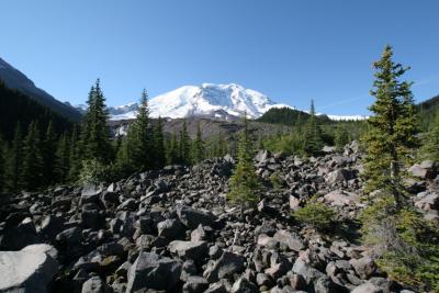 Boulder field at the edge of the river