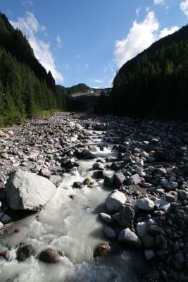 Carbon River