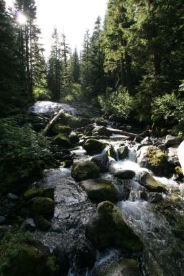 Cataract Creek