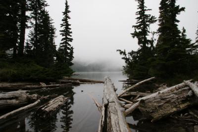 Outlet stream of Mowich Lake