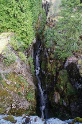 View from Box Canyon bridge down to the Cowlitz River (180')