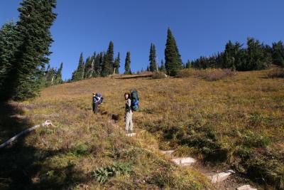 Heading up to Ohanapacosh Park