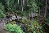 Crossing small stream