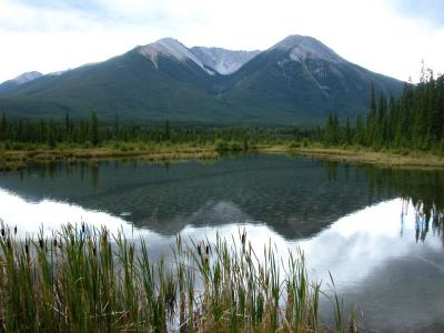 Banff05_5131_1.jpg