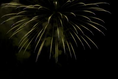 fireworks8.jpg