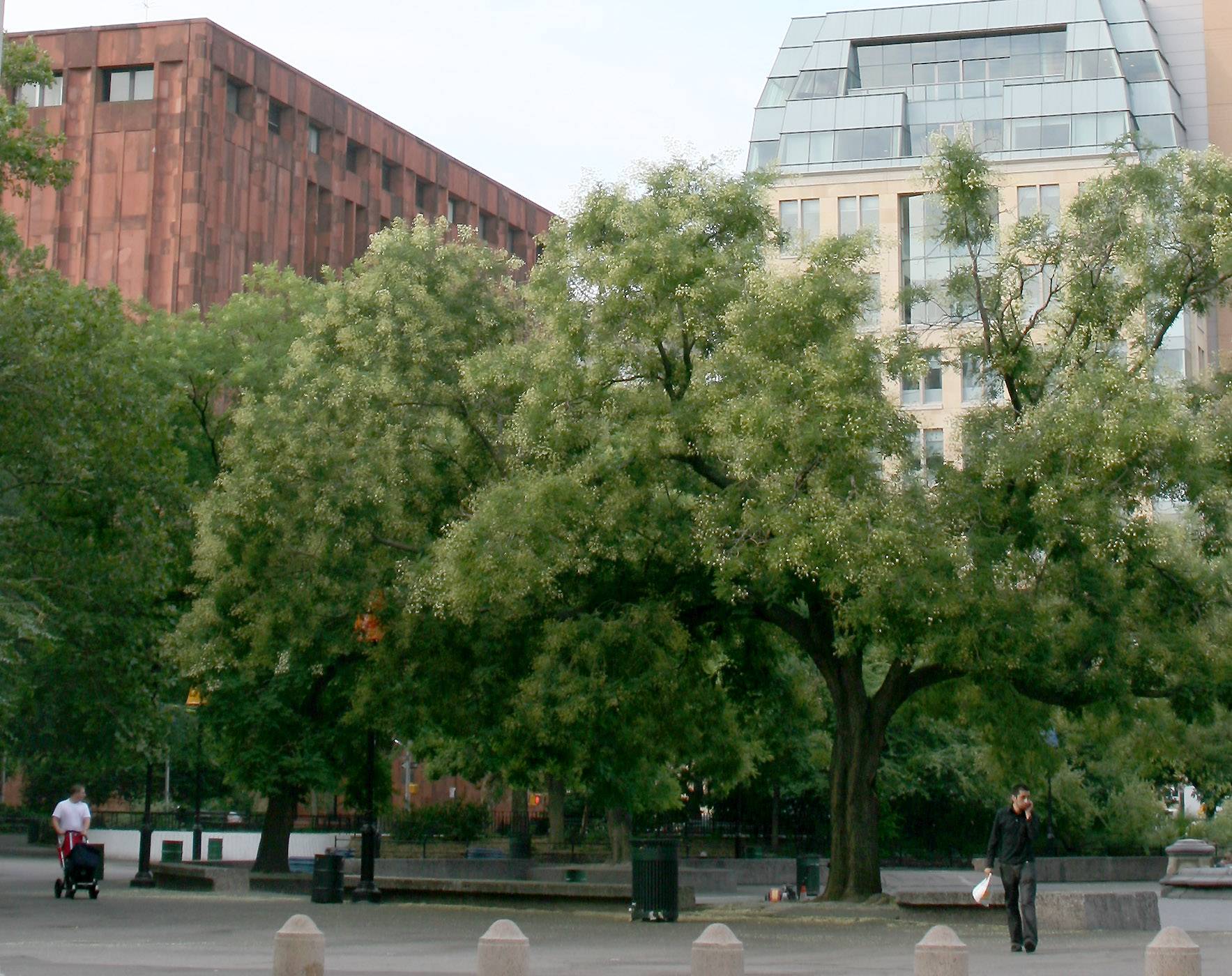 NYU Library & Student Center