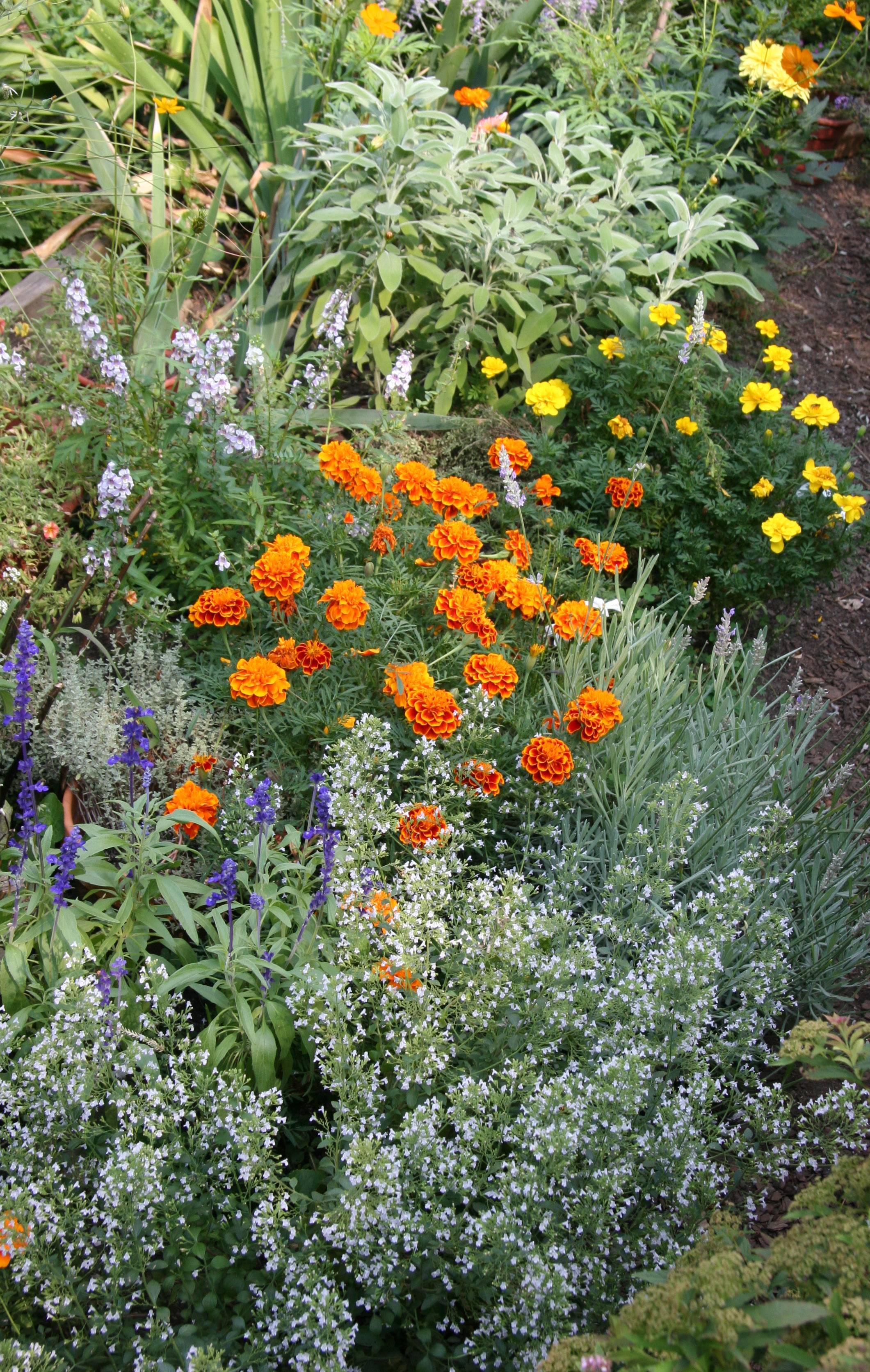 Miniature Meadow