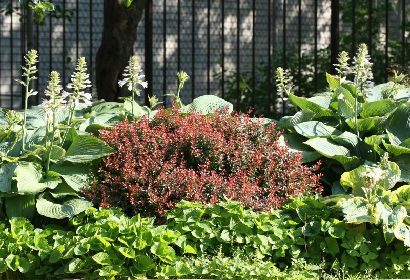 Foliage Garden