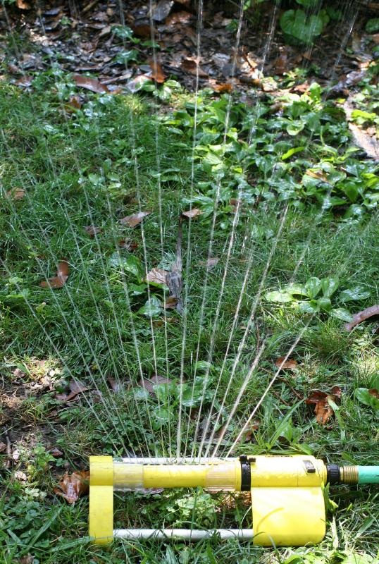 Sprinkling the Garden