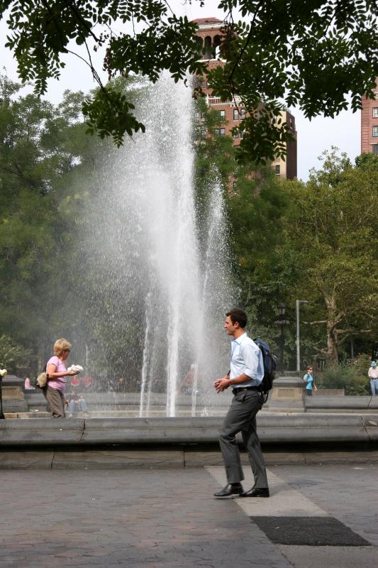 Fountain View