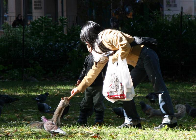 Feeding the Squirrels and Pigeons