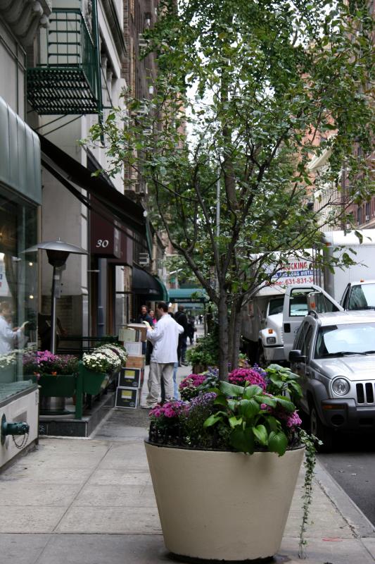 Street Garden