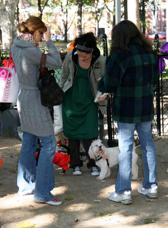 Halloween Party at the Small Dog Run