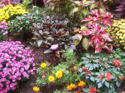 A Flower Garden at the NYU Medical Center