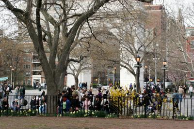 Spring Day in Washington Square Park  - Late Afternoon