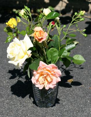Freshly Cut Roses from WSVG