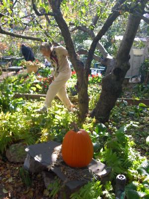 Finished Picking Apples LPCG