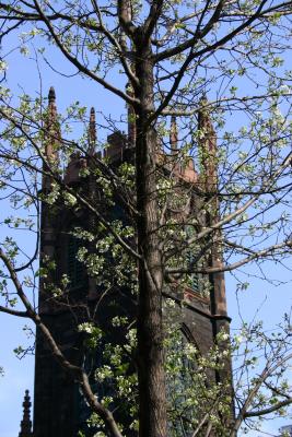 Tower View from 5th Avenue