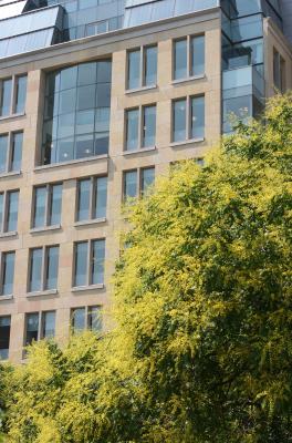 Golden Rain Trees & Student Affairs Center