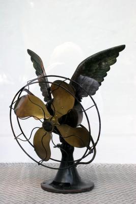 Winged Fan