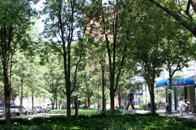 LaGuardia Place Gardens