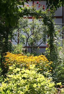 Garden Entrance, Blackeyed Susans & Rose Arbor