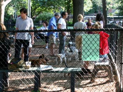 Dog Run for Small Dogs