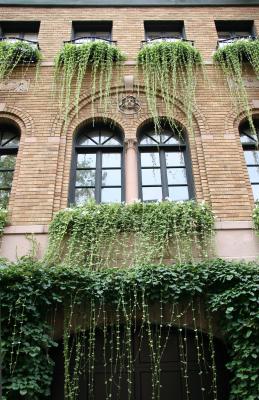 Hanging Gardens on West 10th Street